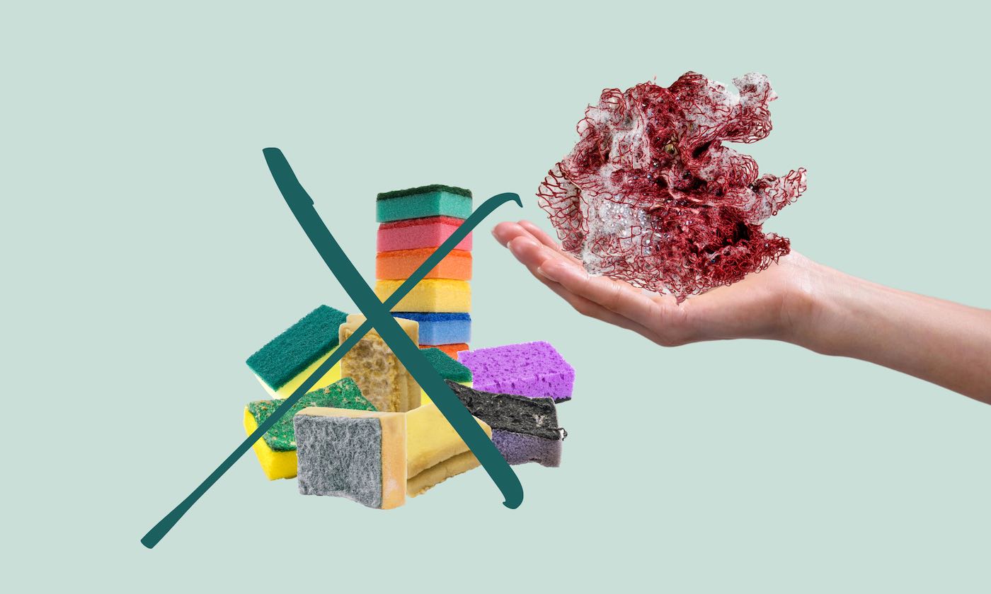 Is There a Dish Sponge Alternative? - The Earthling Co.