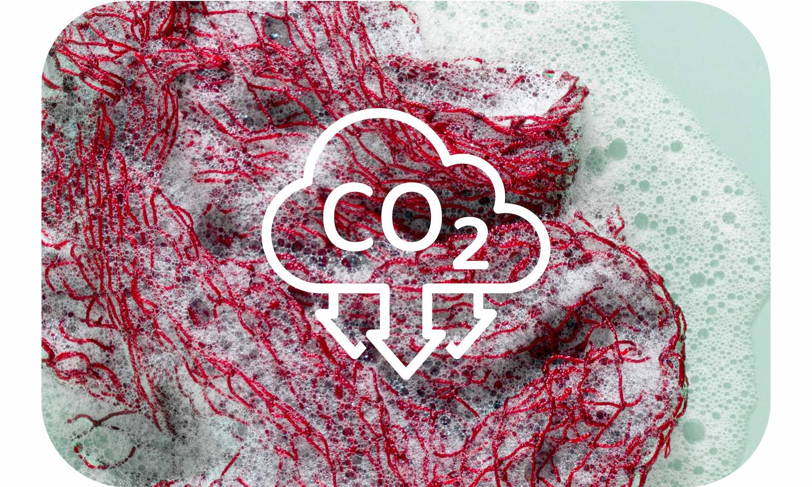 Roter Fischnetz Schamm mit Schaum und mit CO2 Symbol in der Mitte