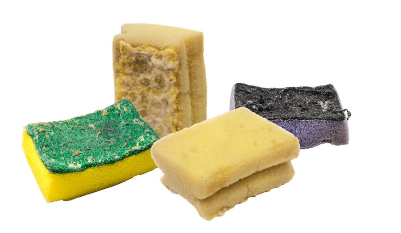 Four used sponges in front of a white background.