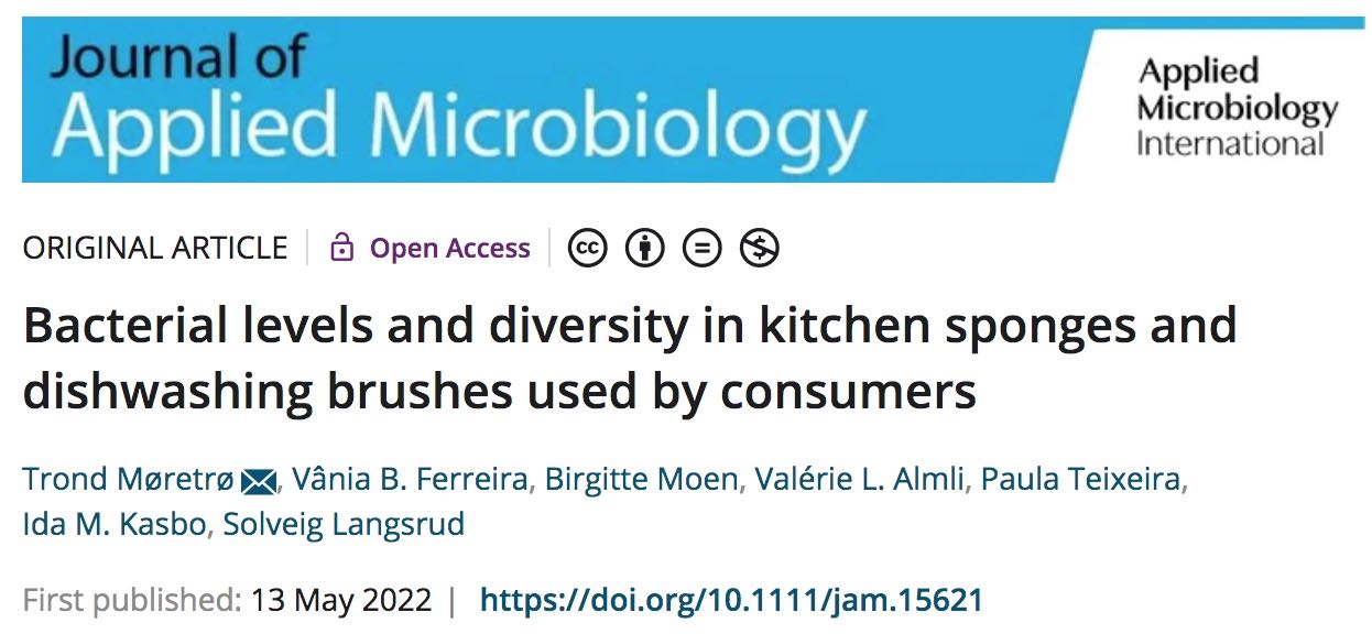 Microbiome analysis and confocal microscopy of used kitchen sponges reveal  massive colonization by Acinetobacter, Moraxella and Chryseobacterium  species